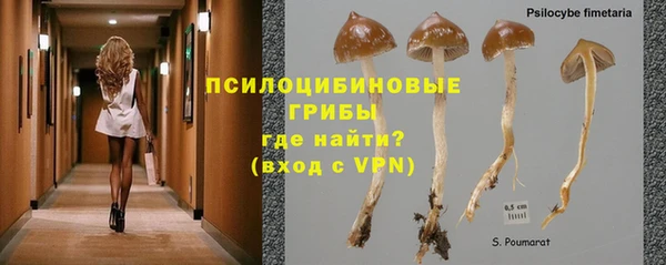 мескалин Липки