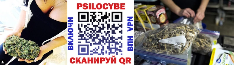 Купить  Андреаполь  Галлюциногенные грибы Magic Shrooms 